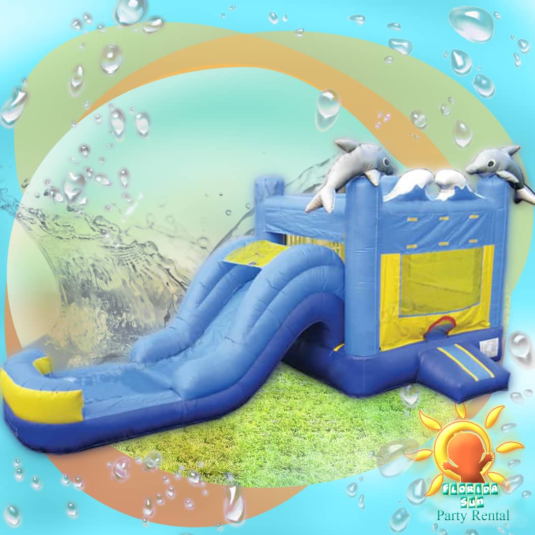 #2-Dolphins water slide.